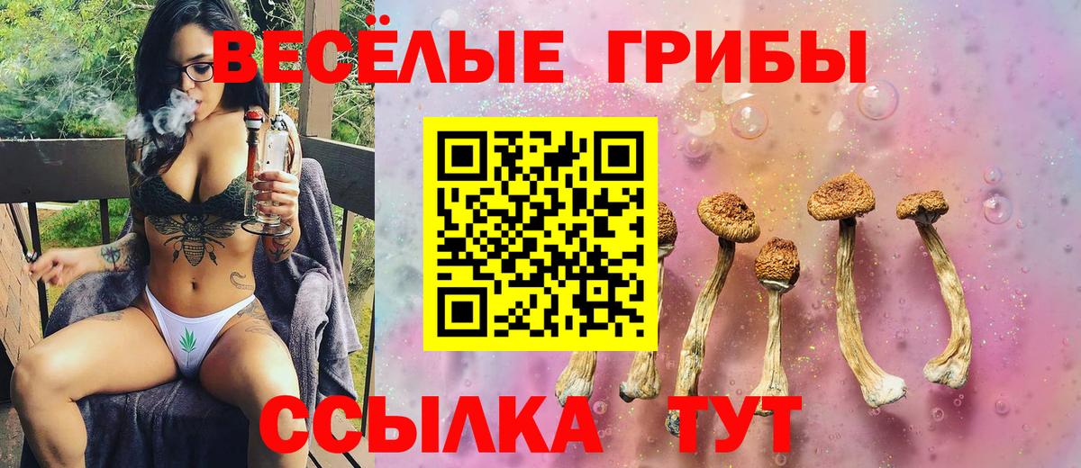 что такое   Вход с VPN  Иваново  Галлюциногенные грибы Psilocybine cubensis 