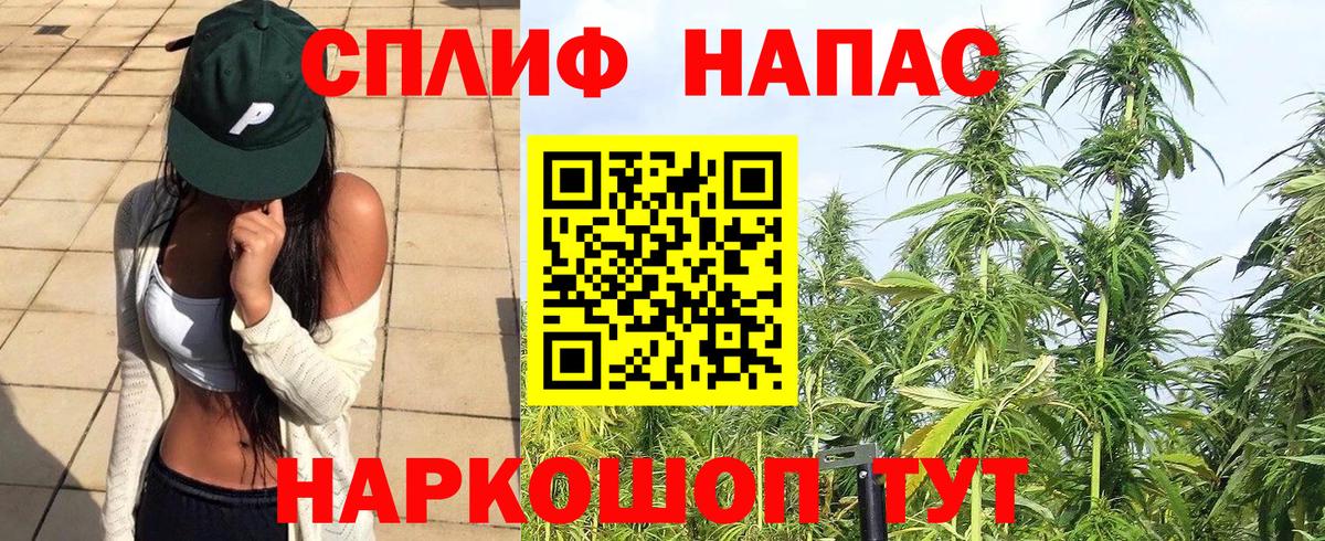 Шишки марихуана семена Иваново